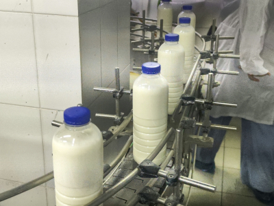 Диетолог Тутельян ответил, как влияет на здоровье отказ от молочных продуктов