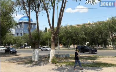 Деревья сажать надо, а не вырубать - актюбинцы о новом проекте урбанистов