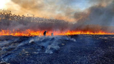 В Костанайской области тушат степной пожар  