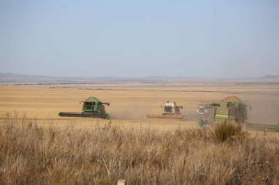 Задолженность государства перед аграриями достигла критического уровня – сенатор Карплюк