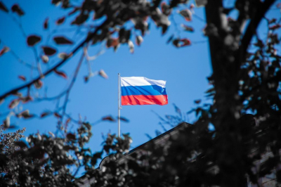 ВС РФ взяли под контроль Ветеринарное и освободили Гришино