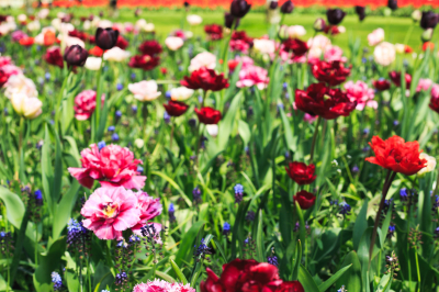 Врач Чистик: Весенняя аллергия чаще всего встречается у детей и подростков