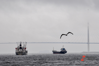Российское судно с автомобилями для Владивостока терпит бедствие в Японском море