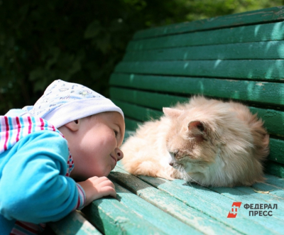 В Госдуме предложили сделать скамейки у подъездов обязательными