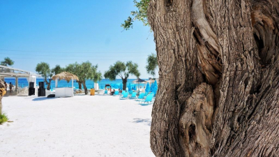 Business Insider: Чинкве-Терре назвали одним из лучших мест для отдыха в Европе