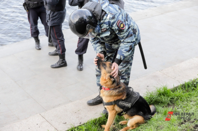 В Екатеринбурге выберут лучших ищеек
