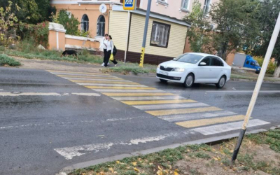 Народный репортер. Пешеходный переход ведет к газону