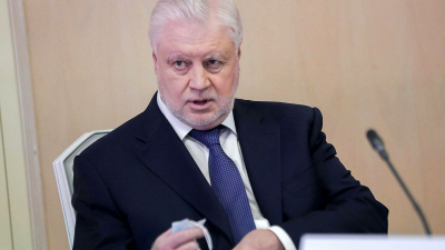 Миронов предложил разрешить использовать средства из маткапитала на автомобили