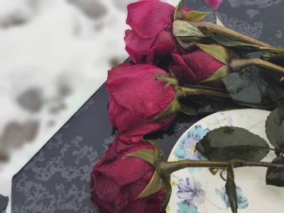 Врач-нарколог Шуров объяснил причину смерти Юлии Началовой