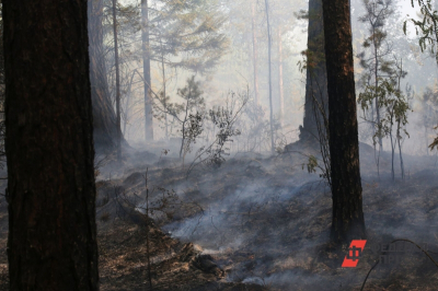 В Челябинской области полыхают лесные пожары: география очагов