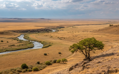 Письмо читателя. Каньоны между реками Темир, Эмба и Башинкульский заливной луг нужно защищать также, как и Кокжиде