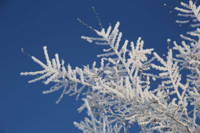 От - 28 до плюсовых температур: как изменится погода в Казахстане