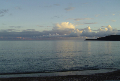 People: на побережье Сан-Франциско появились тысячи синих существ