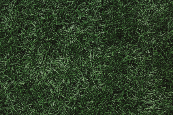 Футбольная сборная России не поедет в Латинскую Америку из-за Трампа