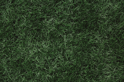 Футбольная сборная России не поедет в Латинскую Америку из-за Трампа