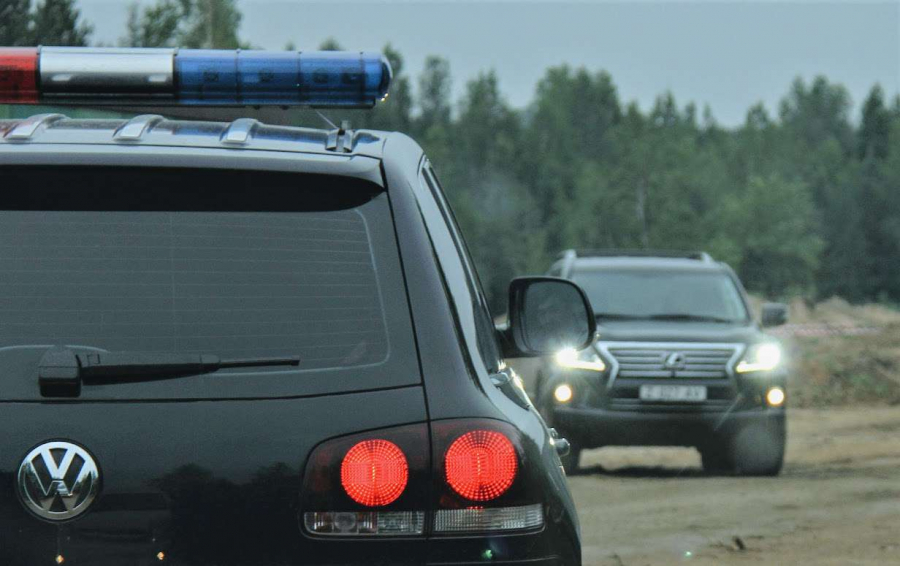 В Павлодарской области браконьеры убили двух краснокнижных архаров