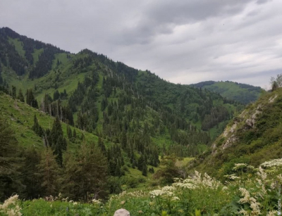 Against Nature